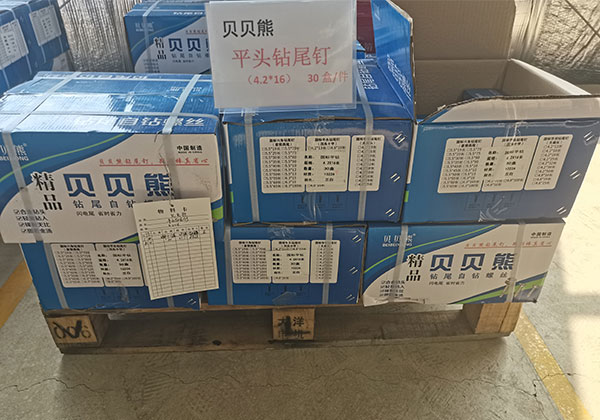 貝貝熊平頭鉆尾釘