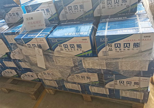 貝貝熊平頭鉆尾釘